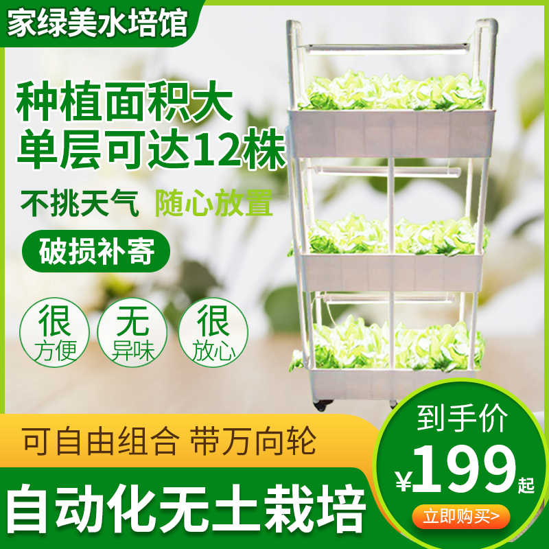 水耕水培花 新人首单立减十元 21年9月 淘宝海外