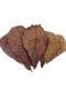 Other Terminalia leaves can reduce acidity and pH value and regulate water quality.