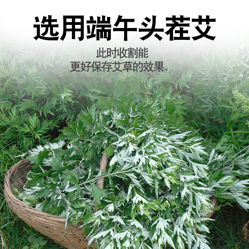 天然艾叶陈艾草蕲艾叶草干艾草叶艾绒干艾叶泡脚包泡澡_虎窝淘