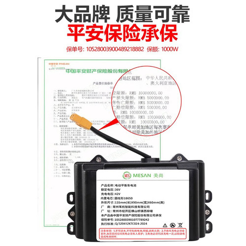 阿尔郎电动平衡车电瓶专通用锂电池36v配件安派合一新能源领奥42v - 图2