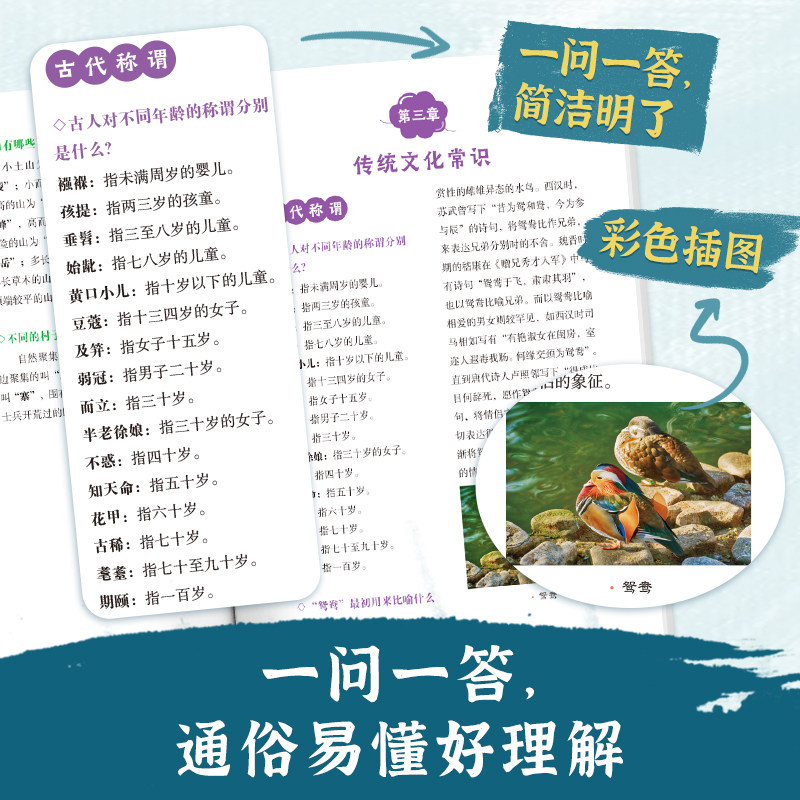 正版中国文化常识1000问中华传统文化知识百科大全中国古典文学历史常识书籍小学初中生必背必备文学常识百科常识课外读物一千问w,淘宝优惠券,粉丝福利购,淘宝优惠卷