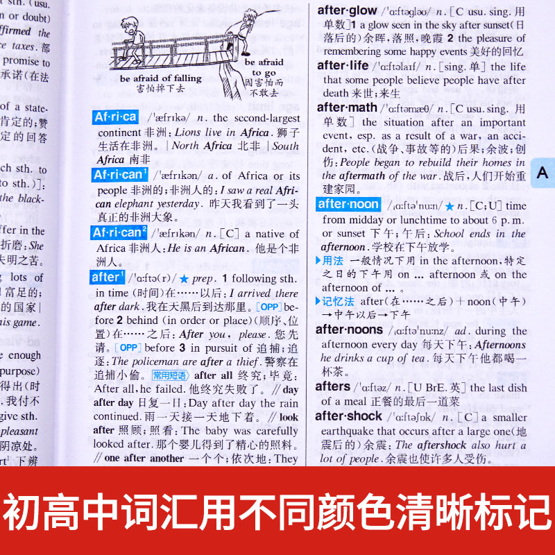 初中高中学生实用英汉双解大词典高考大学汉英互译汉译英字典辞典中小学初阶中阶高阶大全小学到初中初中生必备书非2024最新版