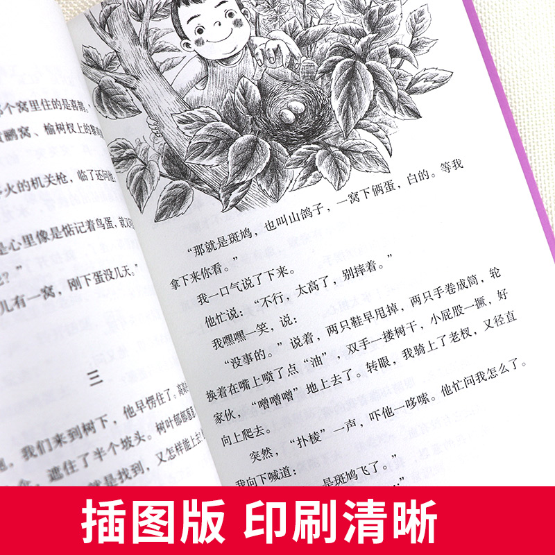 带刺的朋友三年级 4册宗介华的书 三年级下册课外书必读 北京教育出版社 小学生三年级上册课外阅读书籍非注音版奇妙的田螺牧羊狼 - 图3