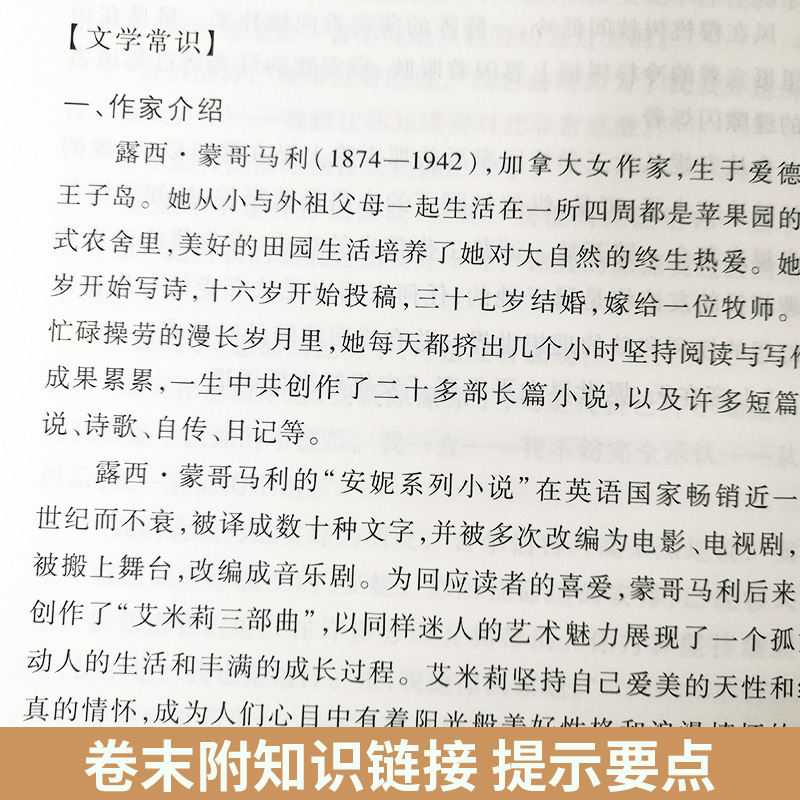 绿山墙的安妮正版 人民文学出版社 原版原著马爱农译  三四五六年级上下册课外阅读书籍名著 中小学生课外书世界名著国际大奖小说 - 图3