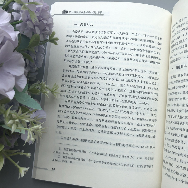 现货正版 北师大 幼儿园教师专业标准 试行 解读 教师工作系列丛书 早教育儿书籍 3-6岁儿童学习与发展指南 北京师范大学出版社 - 图2