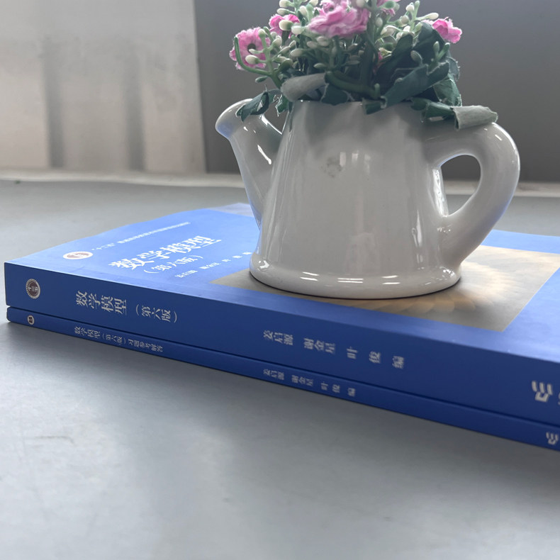 清华大学 姜启源 数学模型 第六版第6版 教材+习题参考解答 高等教育出版社 高校数学建模课程教材练习题集数学建模竞赛辅导书资料,淘宝优惠券,粉丝福利购,淘宝优惠卷