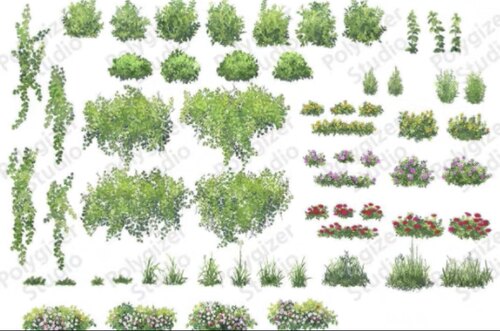 acon3d树木和植物笔刷（2d+3d） 包括各种种树木 灌木 藤 草丛等 - 图2