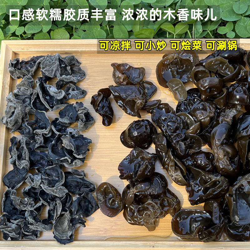 东北黑木耳干货黑龙江特产半野生柞木段木耳秋耳散装无根大朵500g - 图0