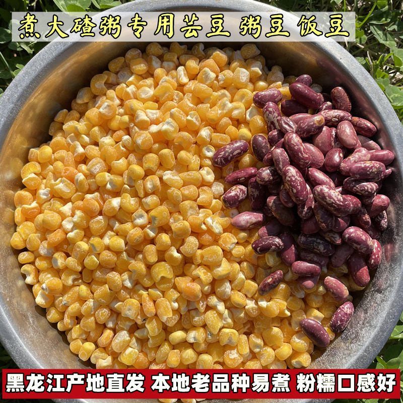 东北紫花芸豆500g红腰豆红芸豆大豆熬煮大碴子粥饭豆五谷杂粮粗粮-图0