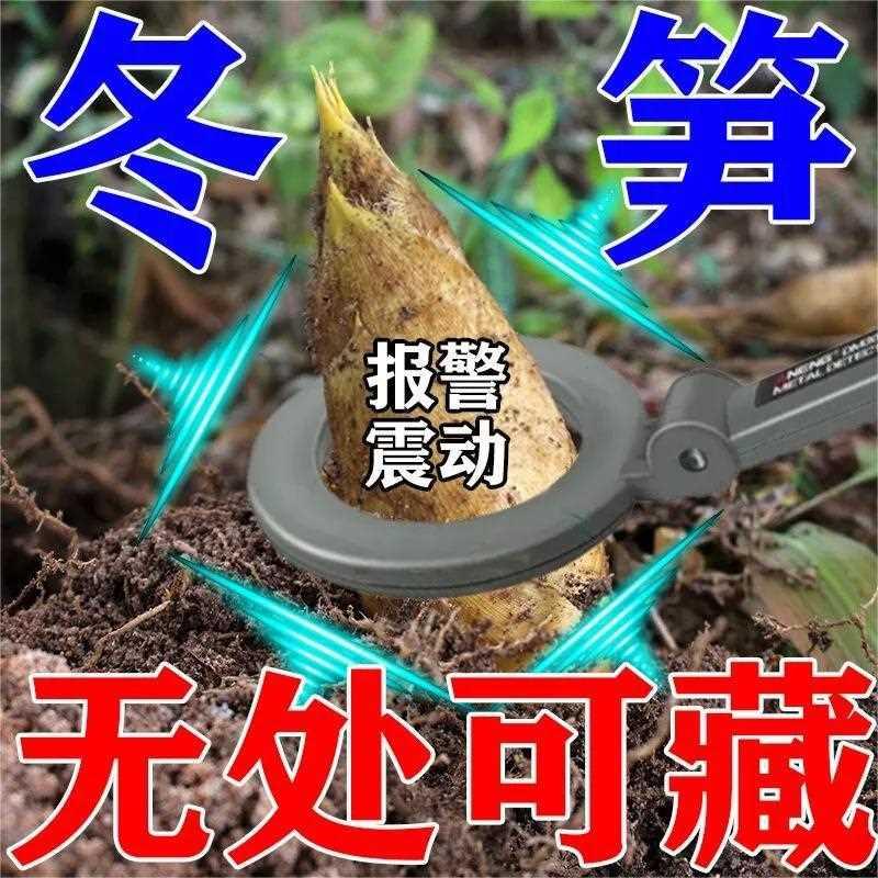 冬笋探测器【冬笋探测器】找笋神器挖冬笋探测仪挖笋专用探测神器-图2