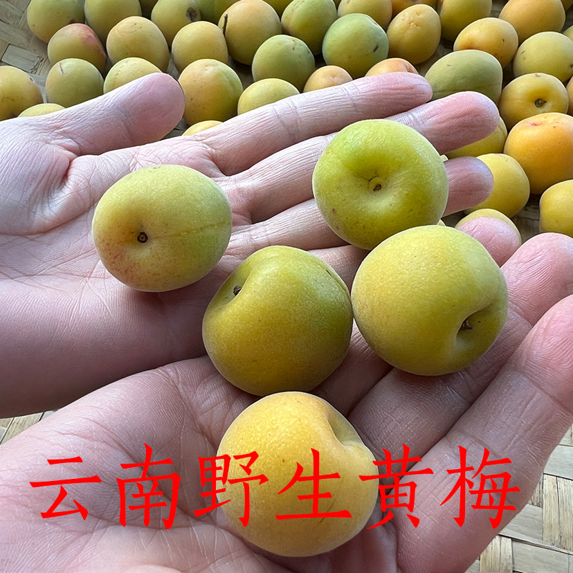 商品详情图片