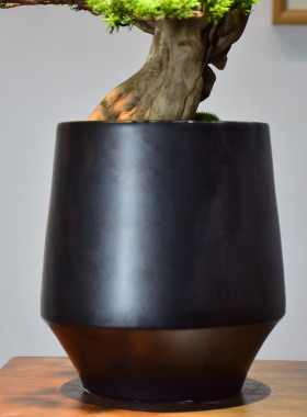 室内新中式风迎客松绿植家居装饰