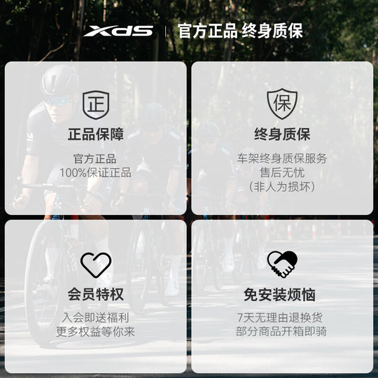 喜德盛2025款AD300公路自行车20速油压碟刹铝合金车架竞技赛车