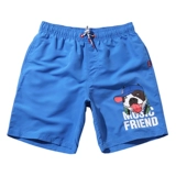 Пляжные штаны, водонепроницаемый быстросохнущий купальник