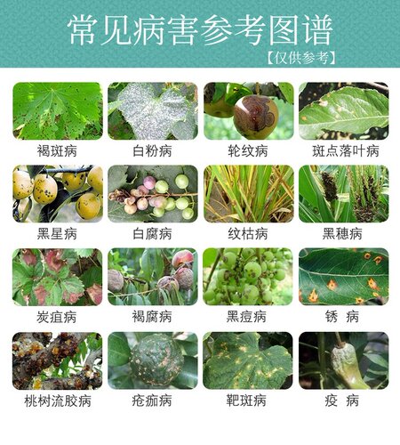 苯甲吡唑酯脂呲唑酯果树专用药黑斑病花卉植物农药杀菌剂农用正品 - 图2