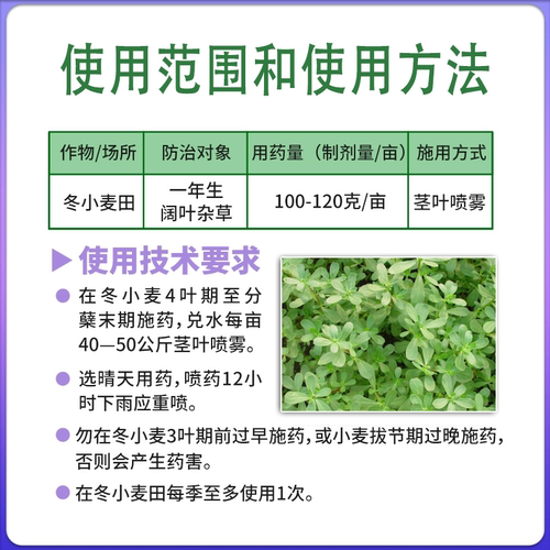 二甲四氯钠2甲4氯钠麦地除杂草剂草坪水稻小麦田苗后专用除草剂 - 图1