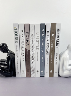 杂志风建筑样板间软装饰仿真书