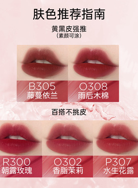 colorkey珂拉琪口红唇釉唇露唇彩