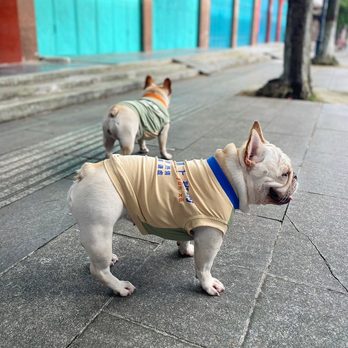 Tata Home -Create Pet Dog Summer Vest Teddy Fa Dougki Контрастная добровольная текстовая жилет