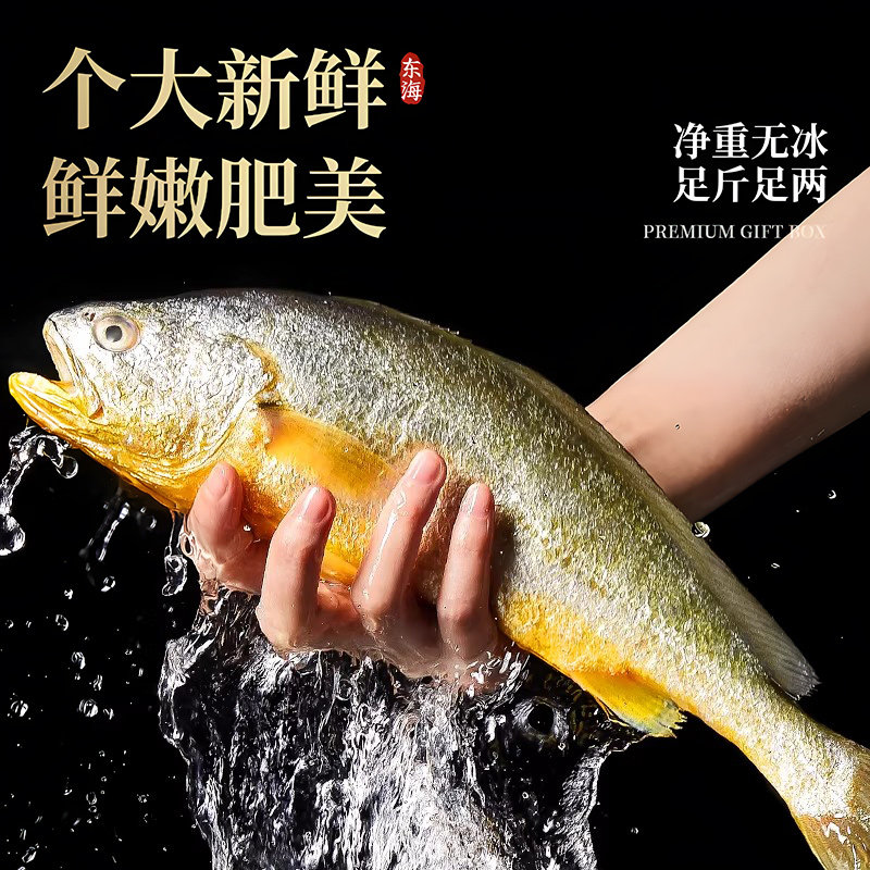 舟山大黄鱼礼盒装深海小黄花鱼鲜活生鲜海鲜海鱼年货礼盒新鲜水产,淘宝优惠券,粉丝福利购,淘宝优惠卷
