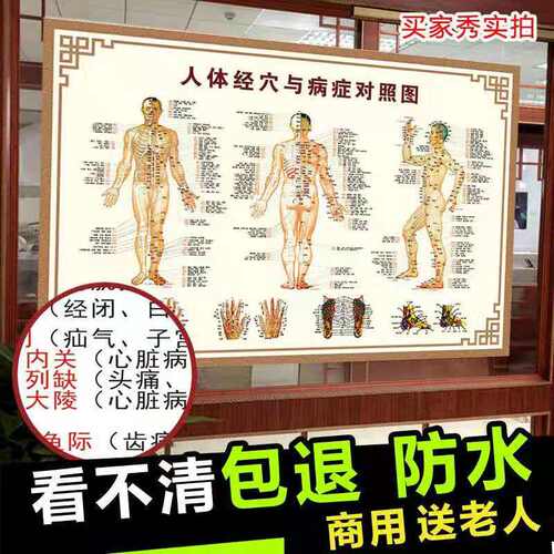 人体经络穴位图标准大图中医养生理疗馆人体病症穴位图解挂图高清 - 图1
