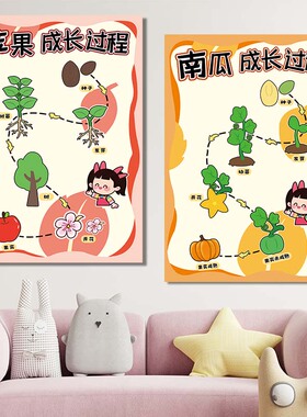 幼儿园自然角饲养种子生长环创画
