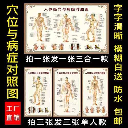 人体经络穴位图标准大图中医养生理疗馆人体病症穴位图解挂图高清 - 图2