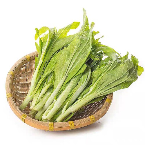 白菜苔菜种籽四季广东菜心白菜苔苗农家新鲜青菜蔬菜种子孑籽种 - 图3