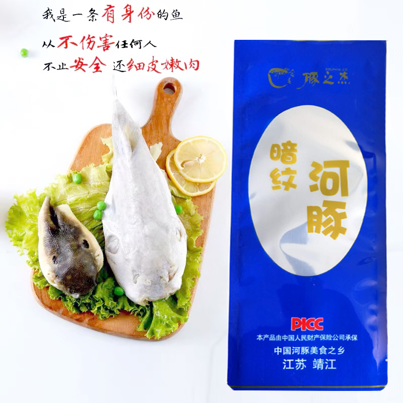 豚之杰河豚鱼食用已处理包邮淡水养殖河豚生鲜宰杀前650g - 图3