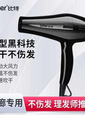 比特6900电吹风机家用B大功率负