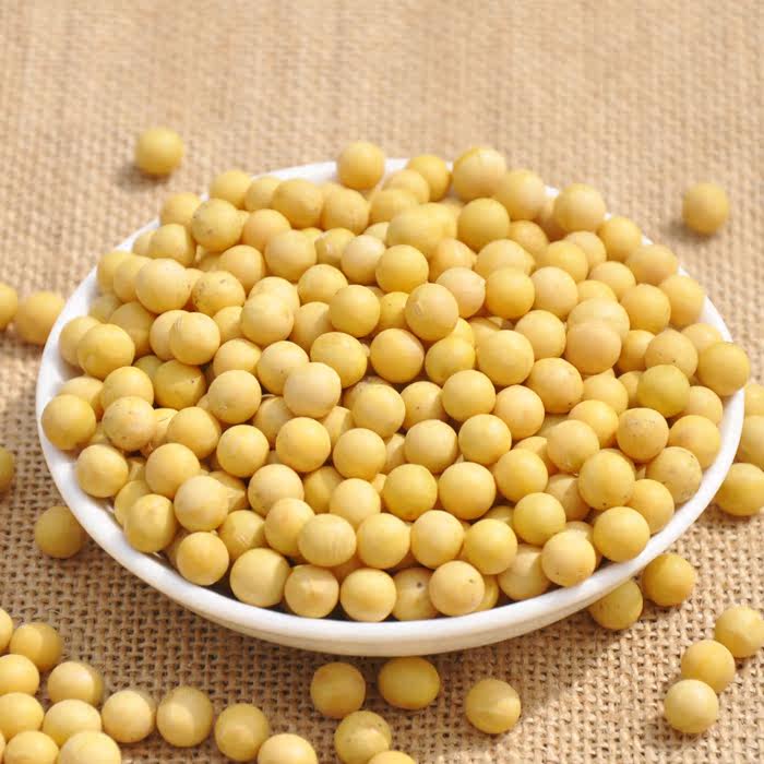 肴之缘黄豆500g*2袋非转基因原粮 贵阳恒昌食品黄豆