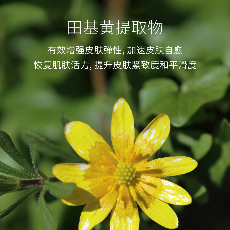 annemarieborlind安娜柏林紧致修护淡纹抗皱脸部凝胶精华50ml