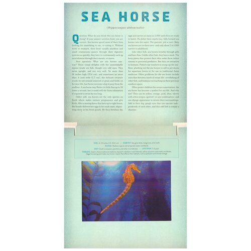 A Photicular Book 光与影视觉动画书系列 会动的3D图画书 Safari Ocean Polar Jungle Dinosaur 儿童百科科普 英文原版进口图书 - 图2