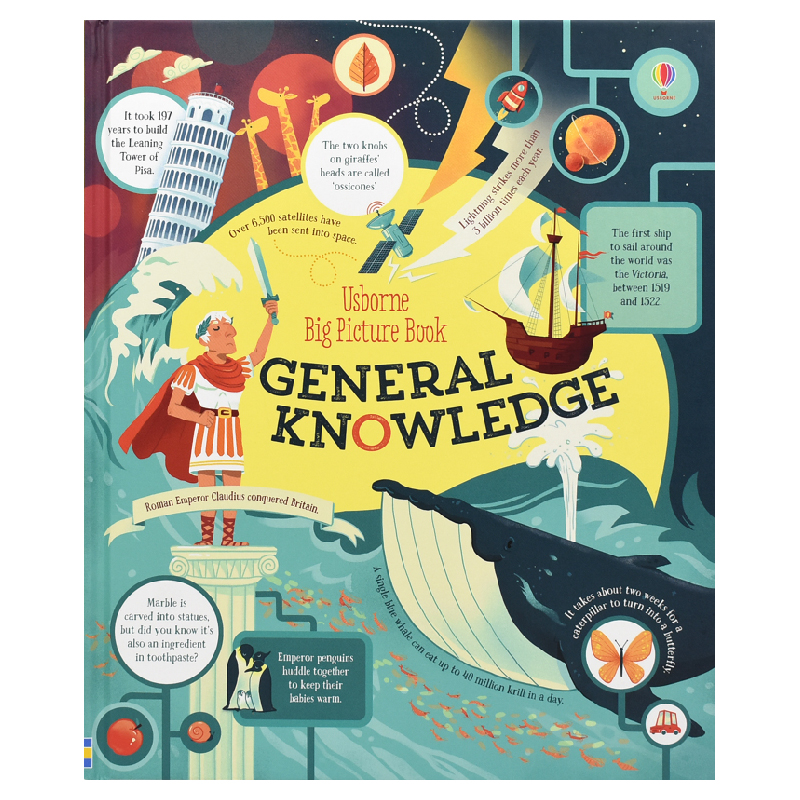 Usborne Big Picture Book General Knowledge 生活常识百科科普书籍 彩色大开本 儿童趣味英语百科科普 英文原版进口图书 - 图3