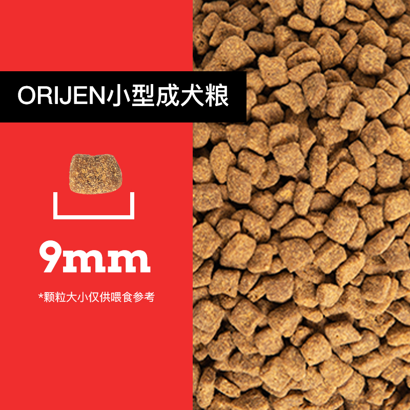 ORIJEN渴望小型犬成犬幼犬狗粮热销榜泰迪比熊狗粮通用型1.8kg-图1