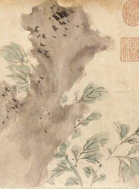 明陈淳洛阳春色图花鸟画微喷