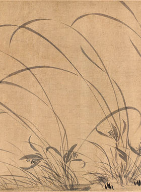 南宋赵孟坚墨兰图兰花图花鸟画