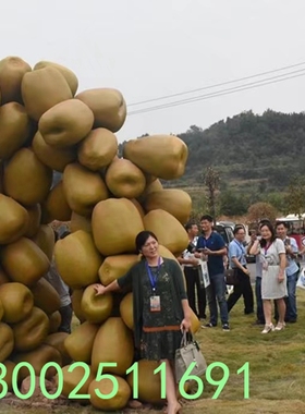 建筑艺术品乡村振兴战略玻璃钢仿真水果红心奇异果黄心猕猴桃雕塑