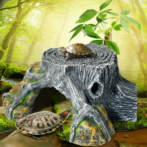 Дэн Ян Ян Дэн Ши Ши Ши Ши Ши Ши Ши Ши Ши Ши Ши Ши Ши Ши Дан Драйай