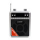 Radio Amplifier Plug-in Card Huibang Bluetooth Speaker