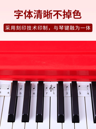 钢琴键盘贴纸88键电子琴音符贴音标贴61键数字琴键五线谱简谱标贴 - 图1