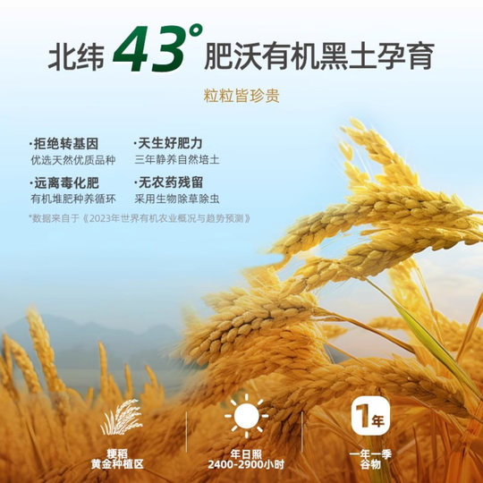 Tortitas de arroz para la dentición infantil ecológicas marca Biochi baby