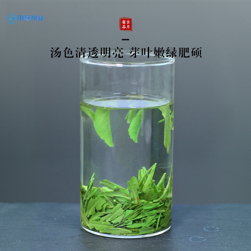 【2024年新茶】特级绿茶 雀舌明前茶片翠芽茶片袋装大份口粮茶 片 - 图1