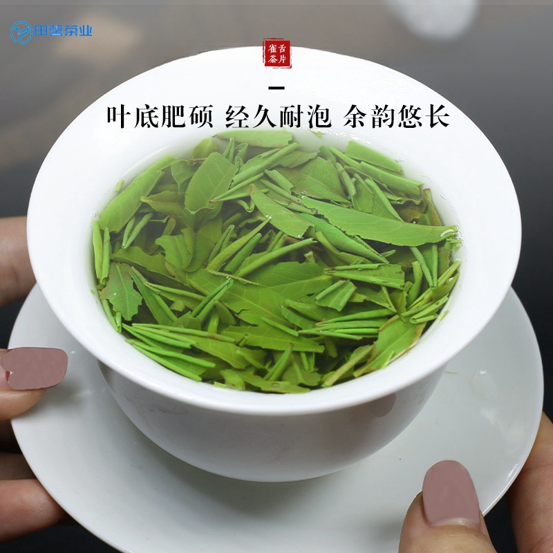 【2024年新茶】特级绿茶 雀舌明前茶片翠芽茶片袋装大份口粮茶 片 - 图2