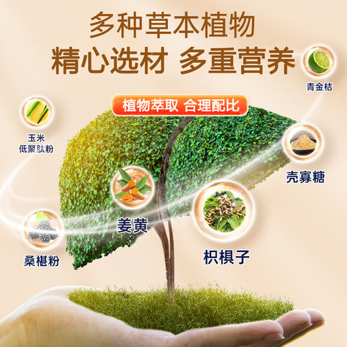 加拿大原装进口安美奇枳椇子姜黄素复合片金桔柠檬桑葚粉官方正品 - 图3