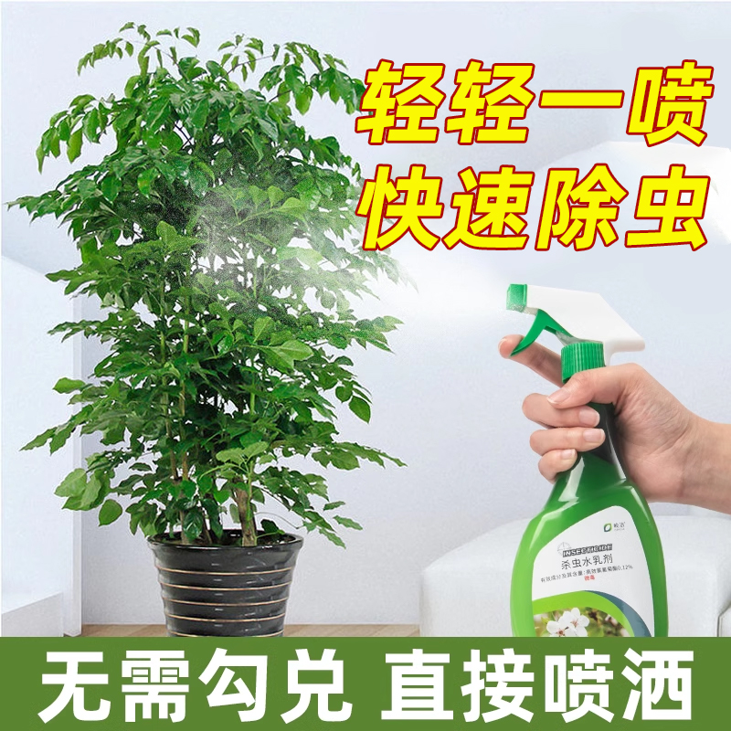 幸福树杀虫药介壳虫蚧壳虫蚜虫芽虫绿植杀虫剂花卉植物除虫专用药-图1