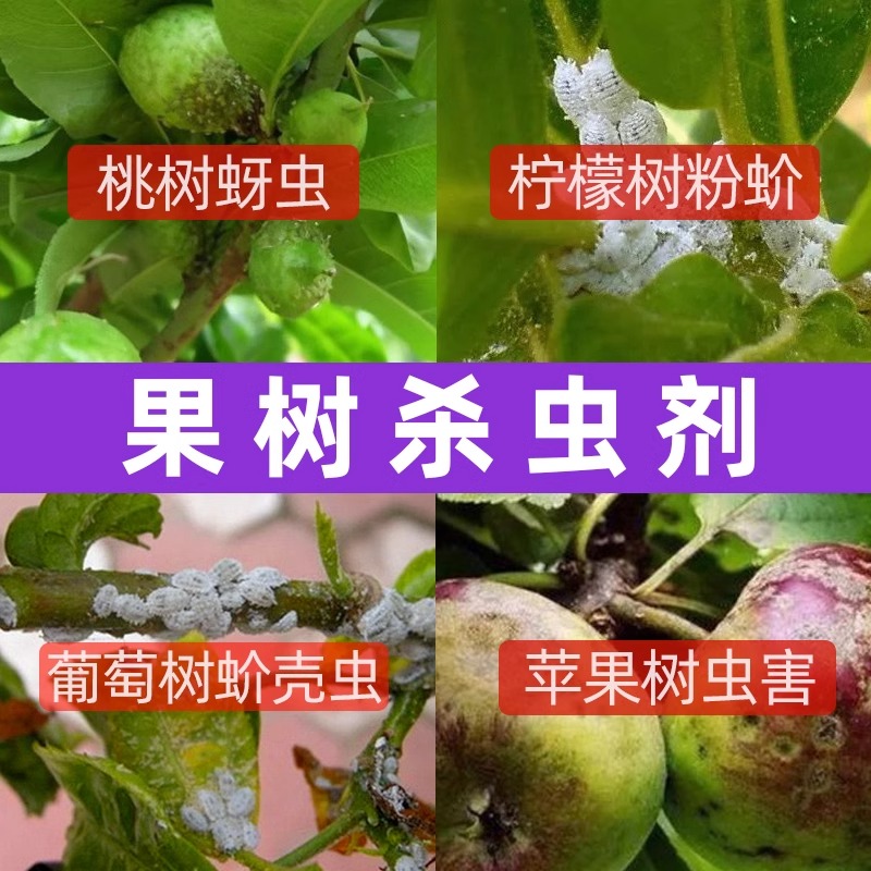 果树杀虫专用药桃树柠檬葡萄橘子樱桃桔子李子树防虫非无毒杀虫剂 - 图1