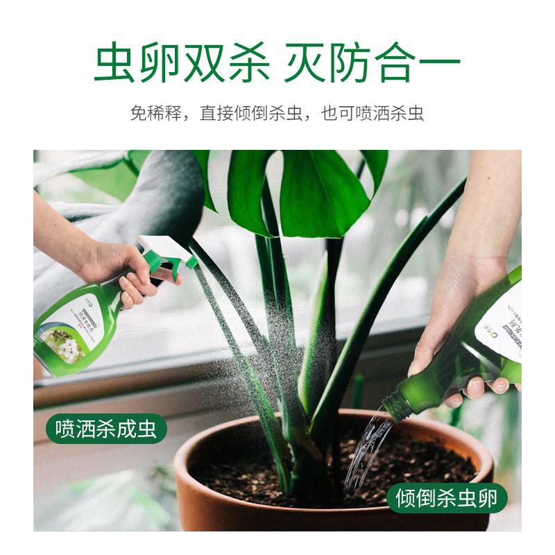 植物花卉杀虫剂土壤灭花盆小飞虫小黑飞蚧壳虫去除绿植专用打虫药