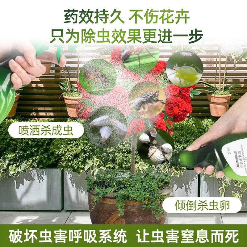 小黑飞杀虫剂杀花盆里小飞虫非专杀非无毒花卉植物花里有灭杀神器,淘宝优惠券,粉丝福利购,淘宝优惠卷