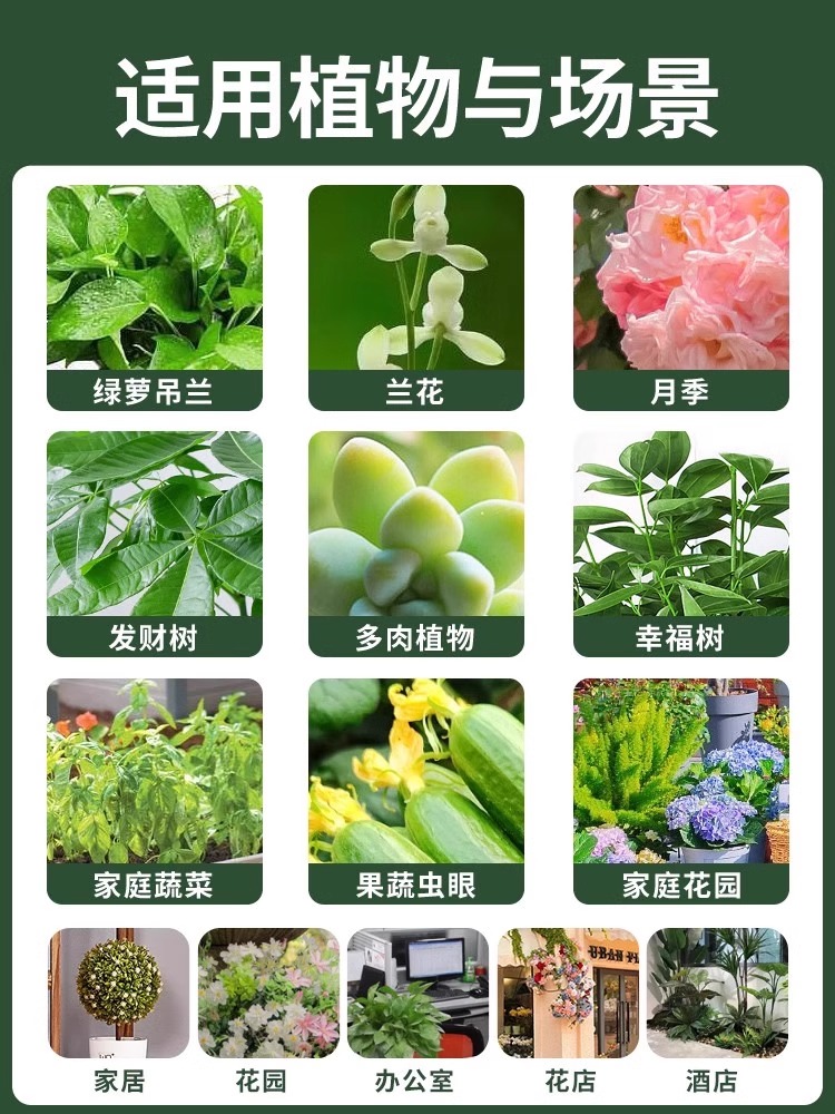 菊花杀虫剂花卉植物土壤灭盆栽小飞虫药蚧壳虫蚜虫打虫家用治虫 - 图2